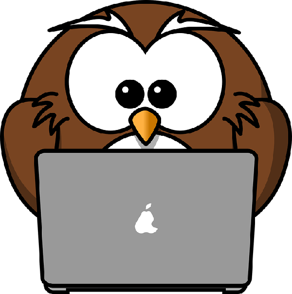 Research Owl