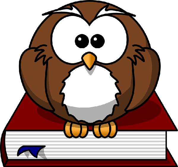 Writing Owl